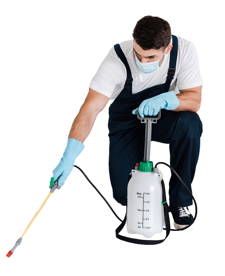 Pest control FAQ section - Asian Pest Management Services answering common questions