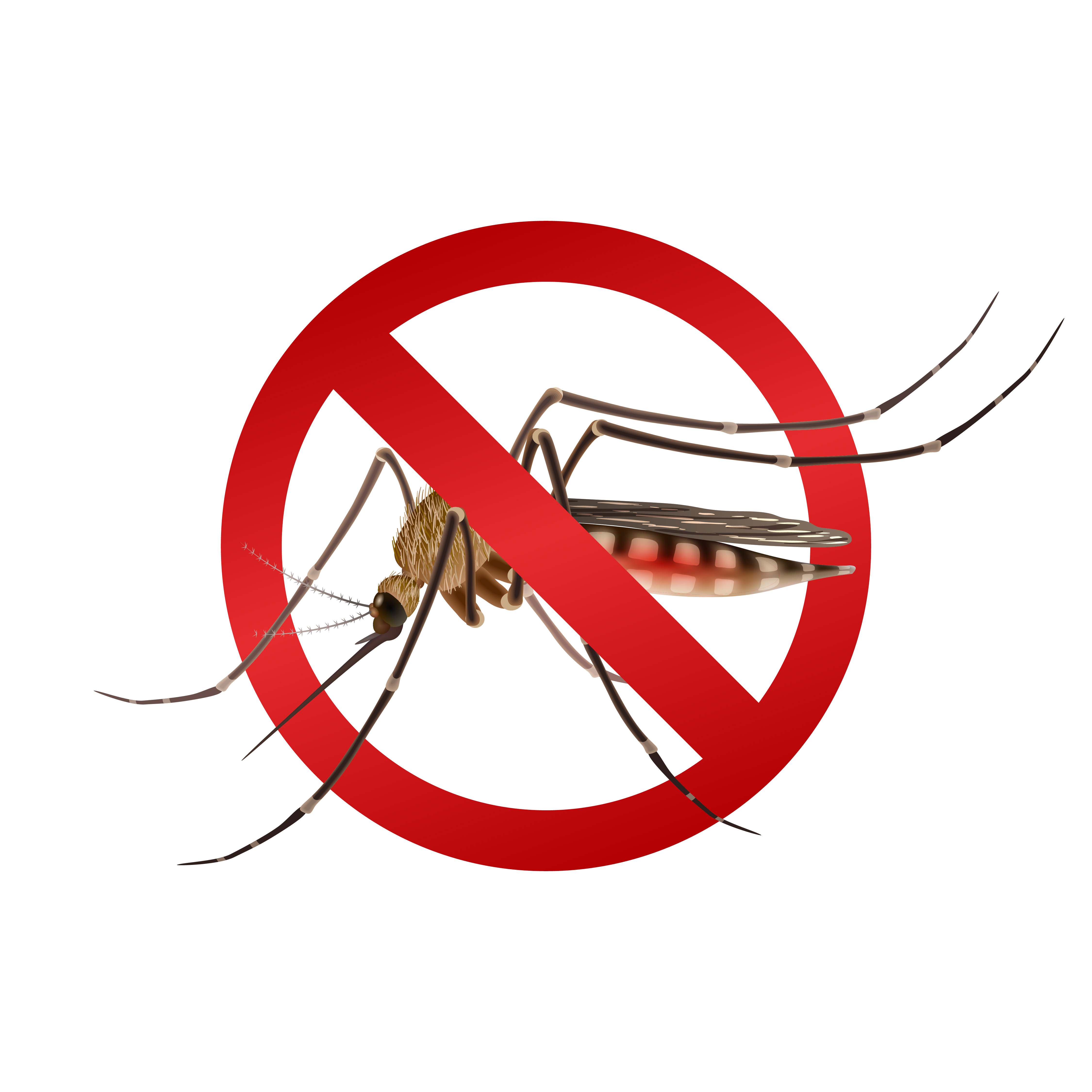 Mosquito prevention tips for Tamil Nadu homes